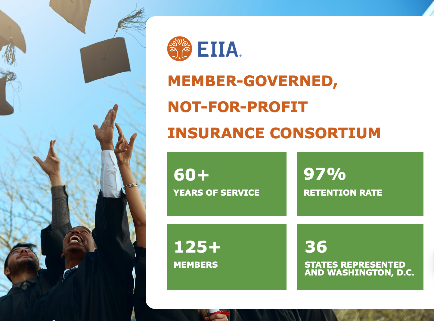 EIIA Member Overview